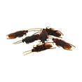 thumbnail image 1 of Rubber Cockroach (Dozen), 1 of 1