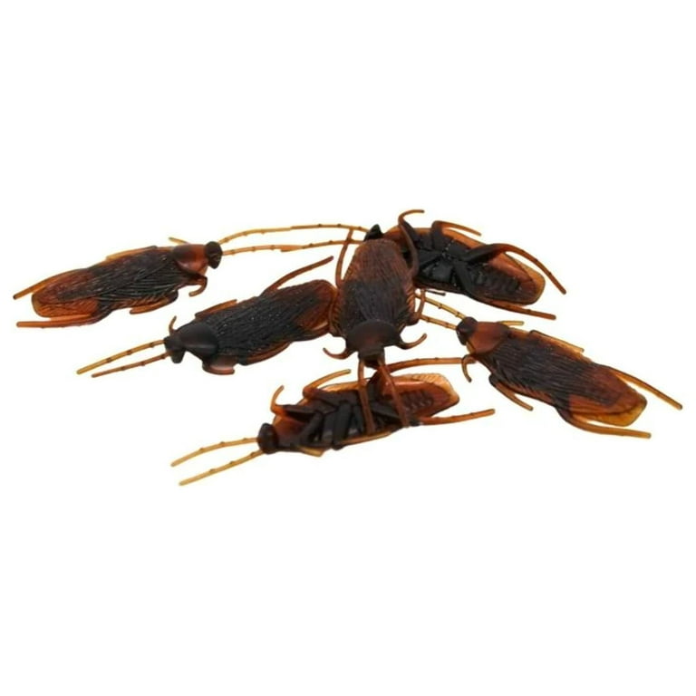 Rubber Cockroach (Dozen) 