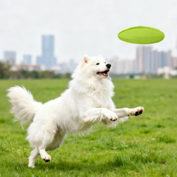 Rubber Dog Frisbee for Outdoor Training & Fetch Durable Chew-Resistant Flying Disc with Non-Slip Grip Interactive Toss Toy for Medium to Large Dogs