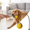 thumbnail image 1 of Rubber Dog Rope Toy, Interactive Tug Chew Toy for Teething Puppies, Durable Training Toy for Small Medium Large Dogs, Yellow, 1 of 8