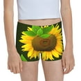 Easygdp Sunflower Girls Hipster Cotton Underwear Little Girls