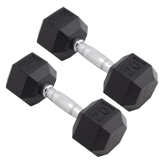 Rubber Encased Hex Dumbbell Weight, Pair  Dumbbells for Exercises  Strength Training Equipment  Home Gym Accessories  Weight Training 20 lbs