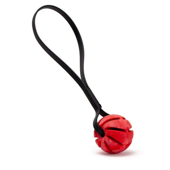 🐾 Rubber Spiral Ball Dog Toy with Biothane Handle
