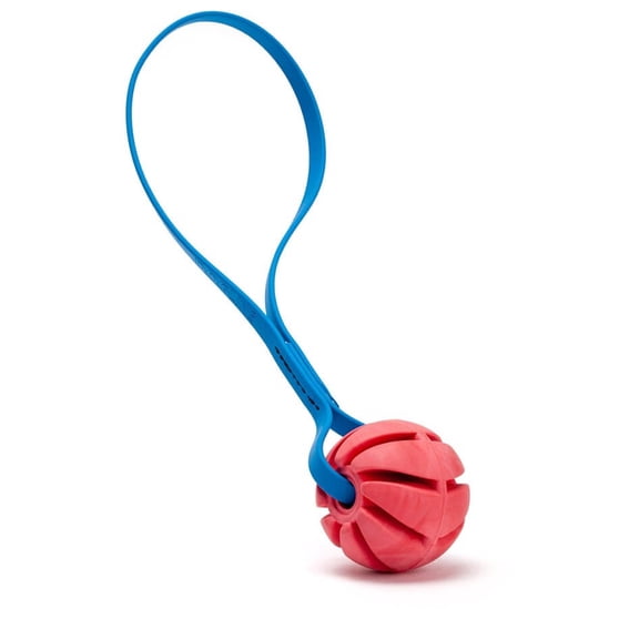 🐾 Rubber Spiral Ball Dog Toy with Biothane Handle
