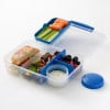 Rubbermaid Pack & Go 1.48 L Bento Create with Mini Bite, Meal Prep Container with Compartments and Dividers