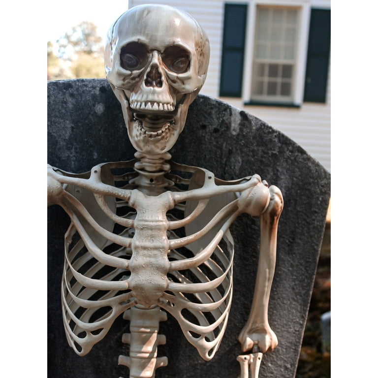 Posable skeleton discount