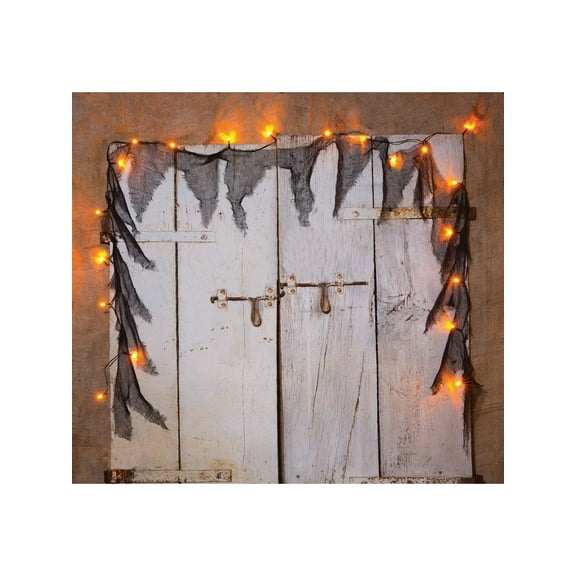 Rubie's Costume Co - 9 Foot Orange LED String Lights with Gauze - One Size