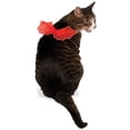 thumbnail image 1 of Rubie's Devil Wings Pet Costume, 1 of 2
