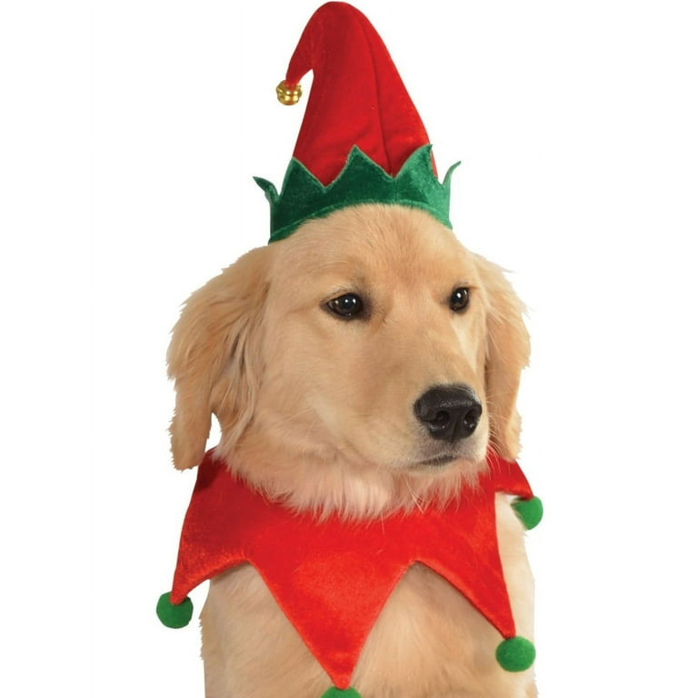 Golden retriever hotsell christmas outfit