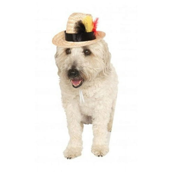 Rubie's Fedora W/Feather
