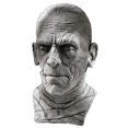 thumbnail image 1 of Rubie's Mens Universal Classic Monsters The Mummy Costume Mask - Size, 1 of 2