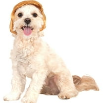 Rubie's Pawlitical Billionaire