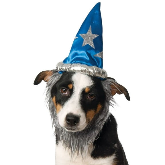 Rubie's Wizard Hat with Beard for Pets, Small/Medium Blue/Silver