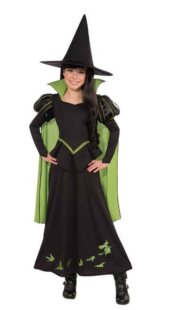 Wicked witch of 2024 the west costume