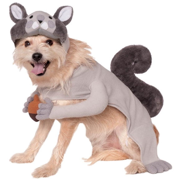 Squirrel Dog Costume