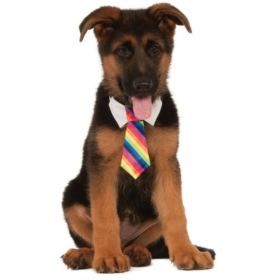 Formal Circus Clown Rainbow Tie Pet Collar Dog Costume Accessory Med-Large