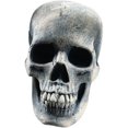 thumbnail image 1 of Human Skeleton Skull Head Prop Halloween Decor Decoration, 1 of 2