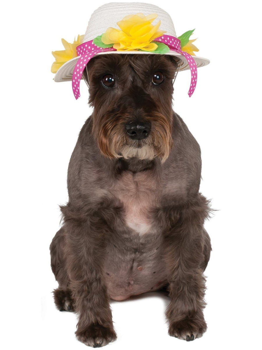 Dog bonnets sale hats