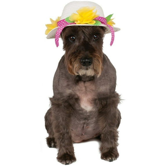 Rubies Costume Co Kentucky Derby Easter Bonnet Hat For Pet Dog Costume Accessory Medium Large
