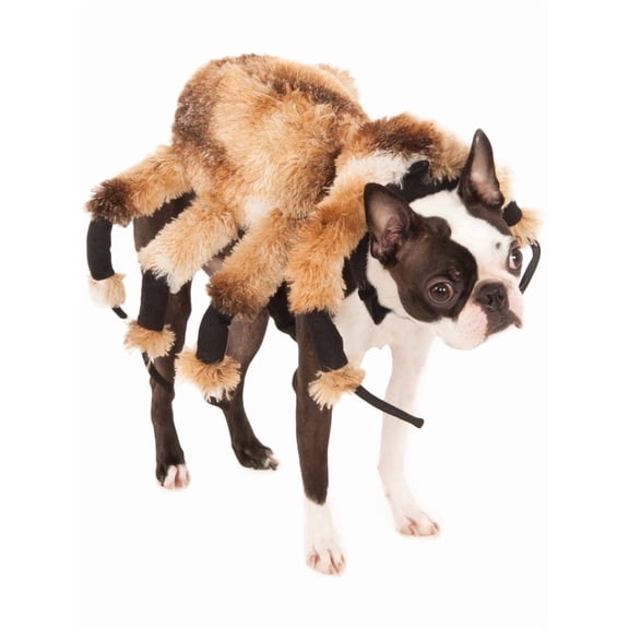 Rubies Costume Company Giant Spider Pet Costume Suit (Small)