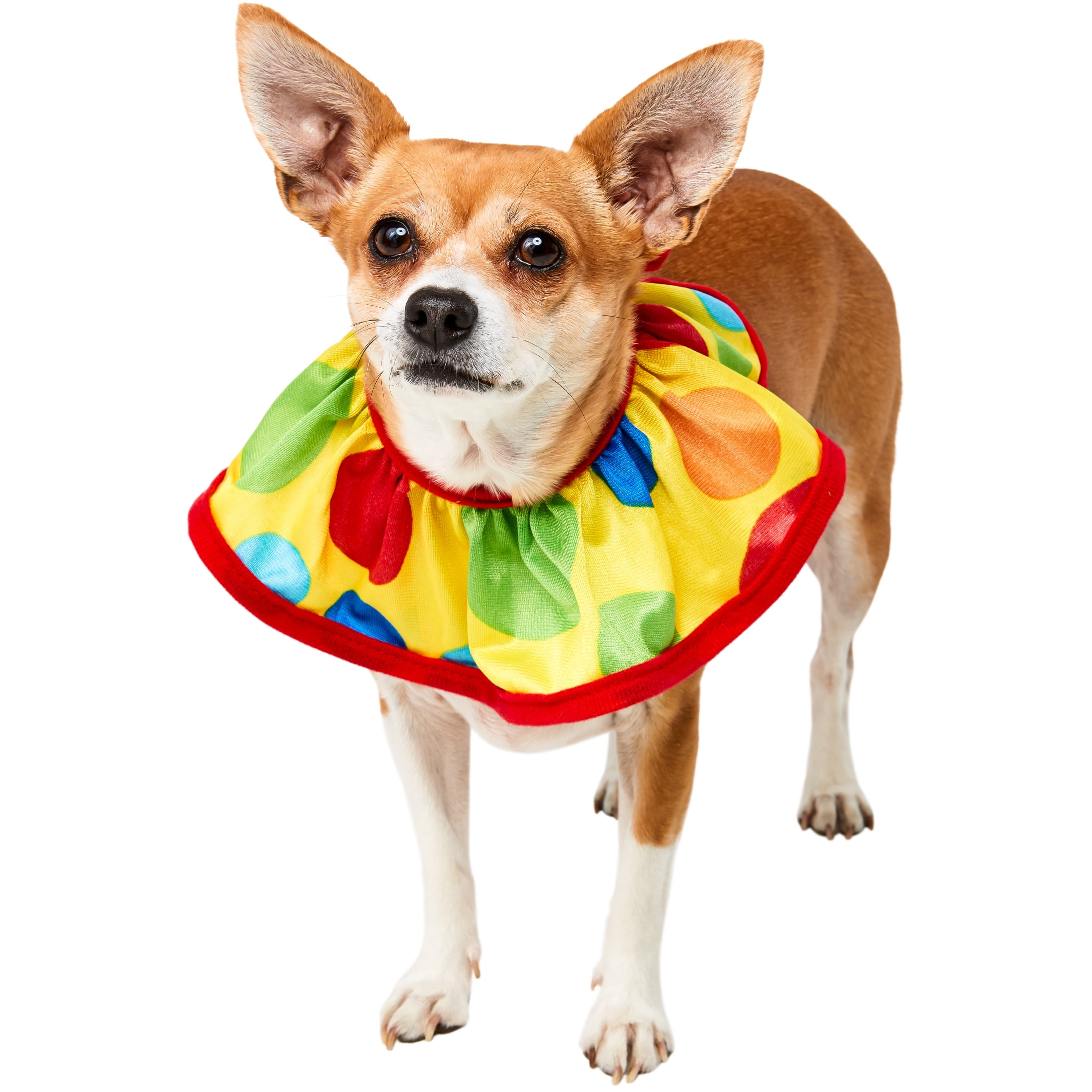 Rubies Pet Shop Boutique Dog or Cat Halloween Costume Accessory Classic