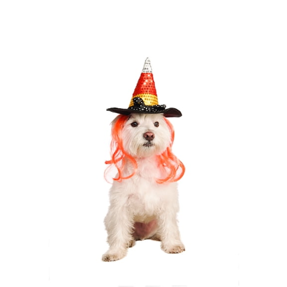 Rubies Pet Shop Boutique Pet Halloween Costume Accessory Candy Corn Witch Hat For Dog or Cat