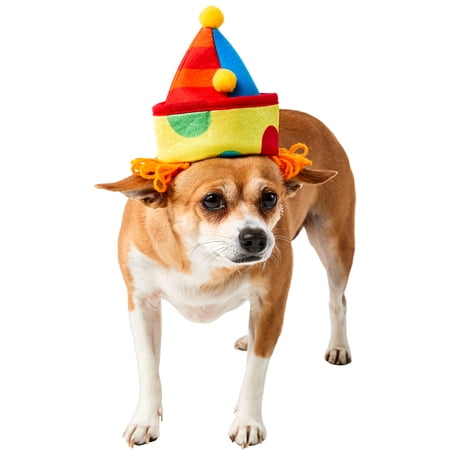 Rubies Pet Shop Boutique Pet Halloween Costume Accessory Classic Clown Hat For Dog or Cat S/M