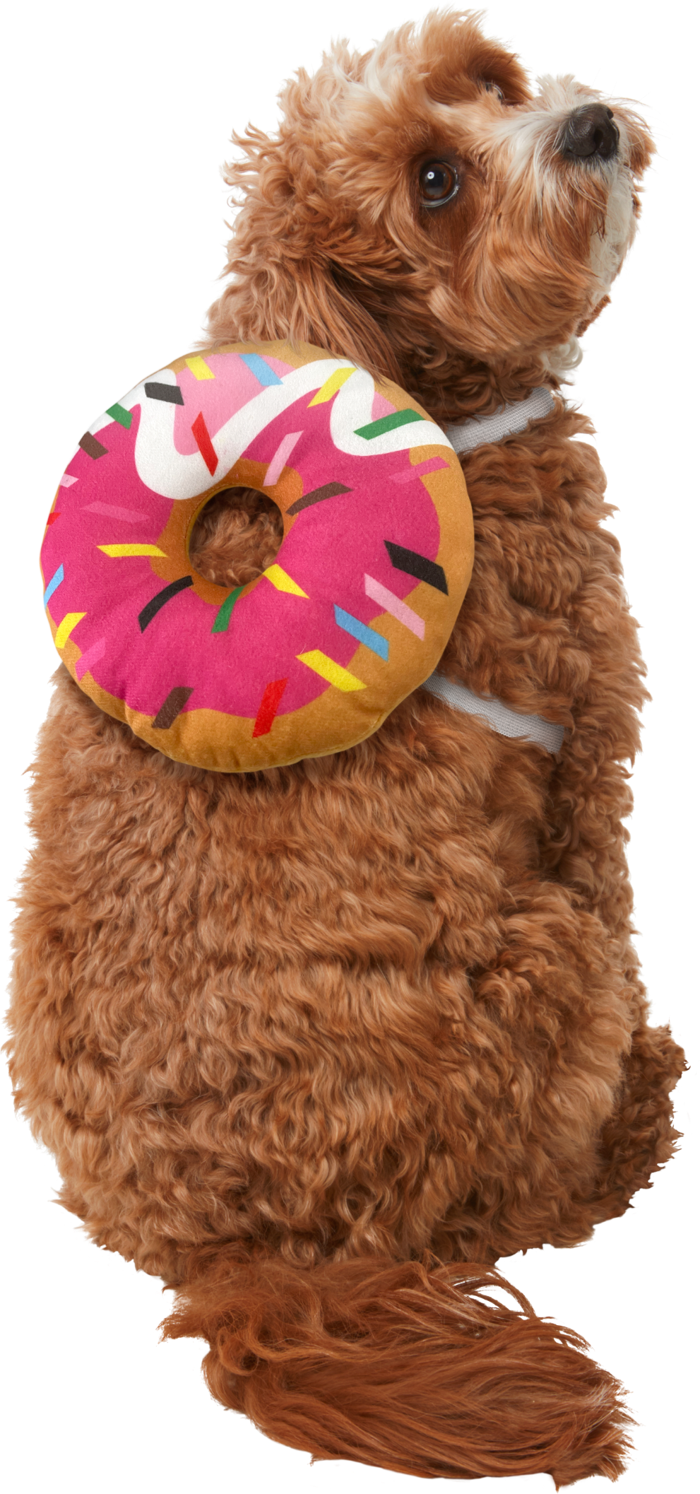 Rubies Pet Shop Boutique Pet Halloween Costume Accessory Classic Donut 