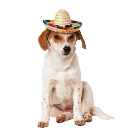 Rubies Pet Shop Boutique Pet Halloween Costume Accessory Multi-Colored Sombrero For Dog or Cat S/M