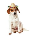 thumbnail image 1 of Rubies Pet Shop Boutique Pet Halloween Costume Accessory Multi-color Sombrero Hat For Dog or Cat, 1 of 13
