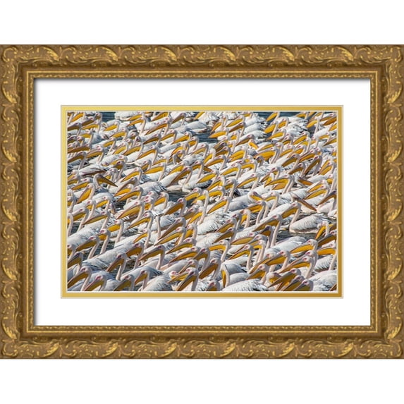 Rublina, Natalia 24x17 Gold Ornate Wood Framed with Double Matting Museum Art Print Titled - Pelican Parade