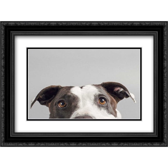 Ruby 2x Matted 24x18 Black Ornate Framed Art Print by Sabo, Susan