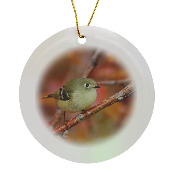 3drose, Ruby-crowned Kinglet Bird, Grand Teton Np Wyoming - Na02 Rnu0766 - Rolf Nussbaumer, Circle Porcelain Ornament