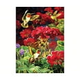 thumbnail image 1 of Ruby Geraniums, 1 of 2
