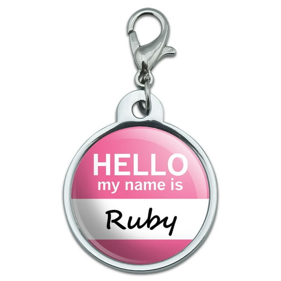 Ruby Hello My Name Is Small Metal ID Pet Dog Tag
