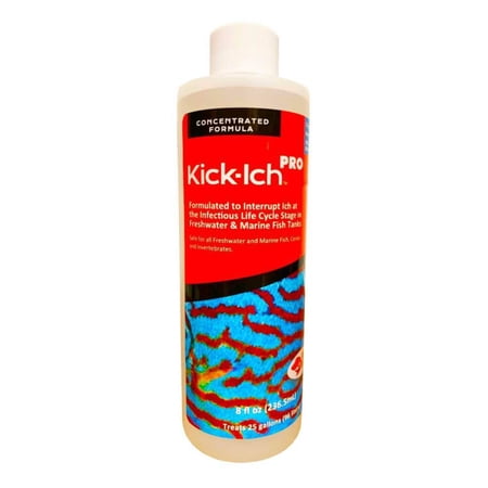 Ruby Reef Kick-Ich Pro