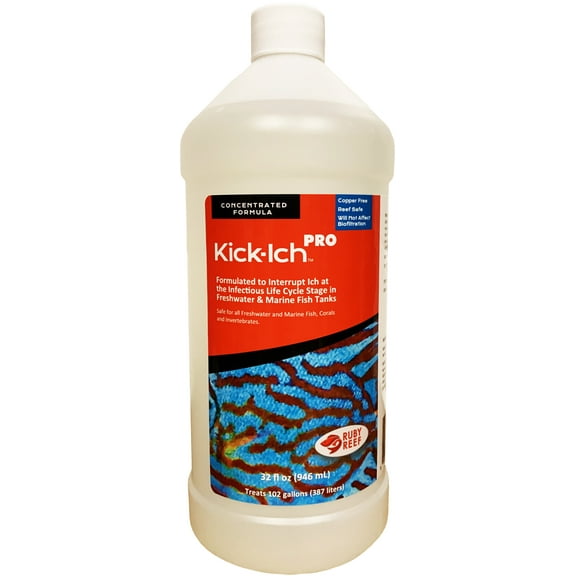 Ruby Reef Kick-Ich Pro