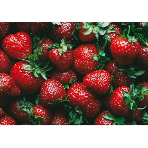 Ruby Royale Strawberry Plants - Grow Giant Strawberries - Bare Root Plants (10 Plants)