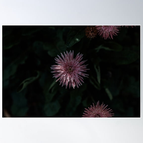 Ruby Star Poster Wall Art, Modern Wall Decor For Living Room Bedroom, 16x24 UNFRAMED