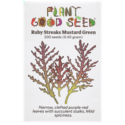 Ruby Streaks Mustard Green Seeds
