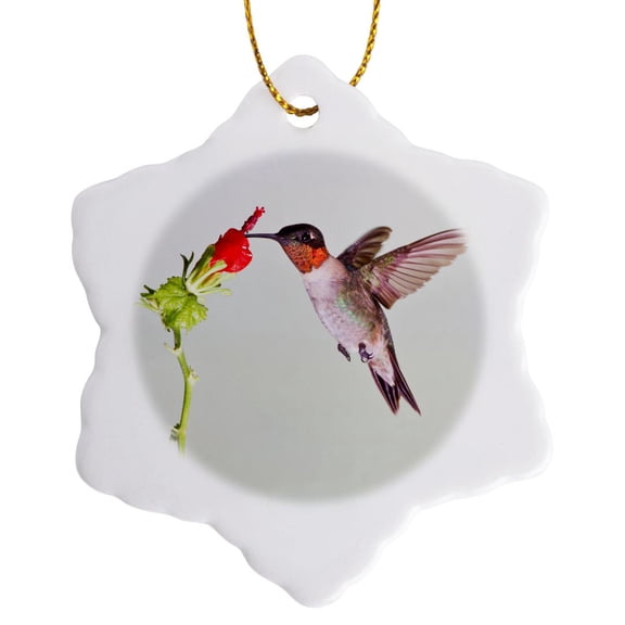3drose, Ruby-throated Hummingbird, Archilochus Colubris, Feeding, Texas, Usa, 3 inch Snowflake Porcelain Ornament