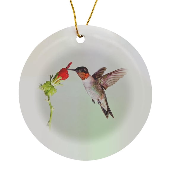 3drose, Ruby-throated Hummingbird, Archilochus Colubris, Feeding, Texas, Usa, Circle Porcelain Ornament