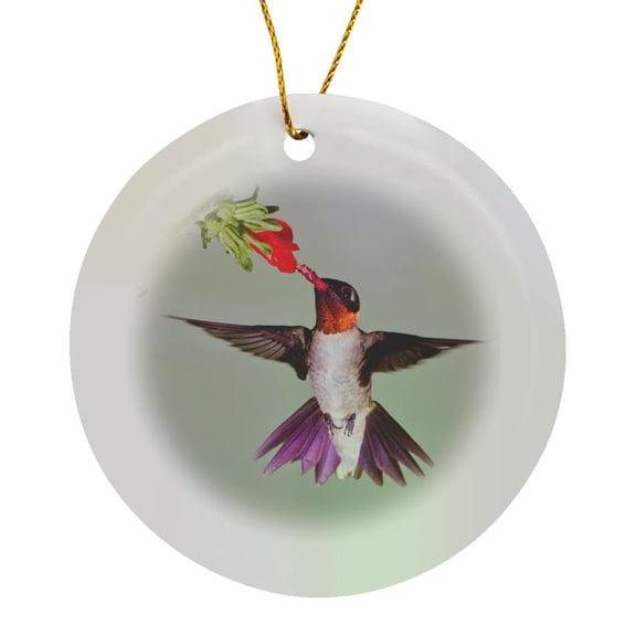 3drose, Ruby-throated Hummingbird, Archilochus Colubris, Feeding, Texas, Usa, Circle Porcelain Ornament
