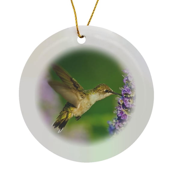 3drose, Ruby-throated Hummingbird, Archilochus Colubris, Feeding, Texas, Usa, Circle Porcelain Ornament
