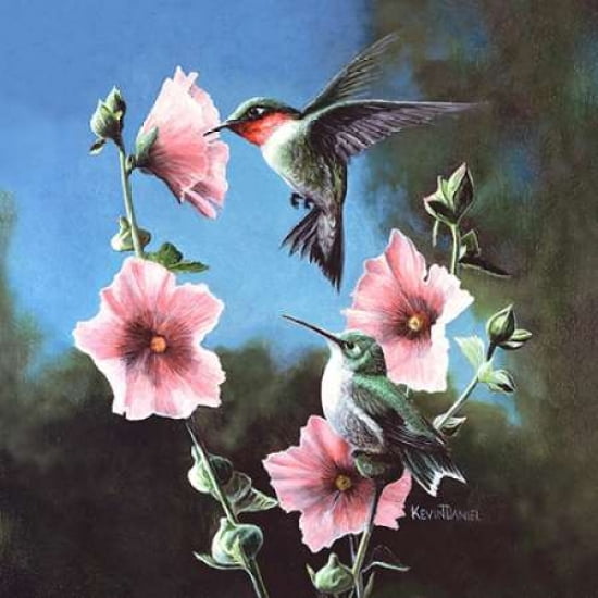 Ruby Throated Hummingbird Canvas Art - Kevin Daniel (24 x 24)
