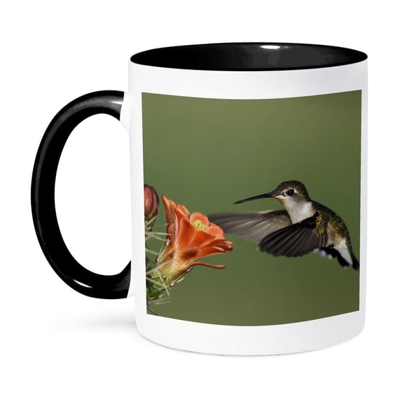 Ruby-Throated Hummingbird, Claret Cup, Texas - Na02 Rnu0250 - Rolf Nussbaumer, 11oz Two-Tone Black Mug