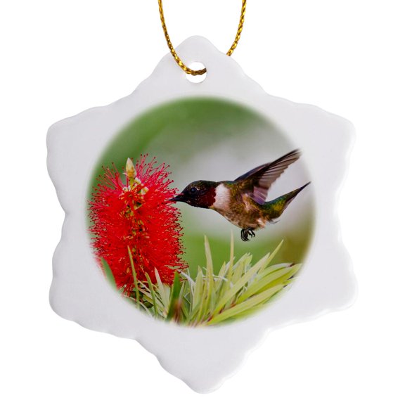 Ruby-Throated Hummingbird Feeding At Bottle Brush Flowers, Texas, Usa, 3 inch Snowflake Porcelain Ornament
