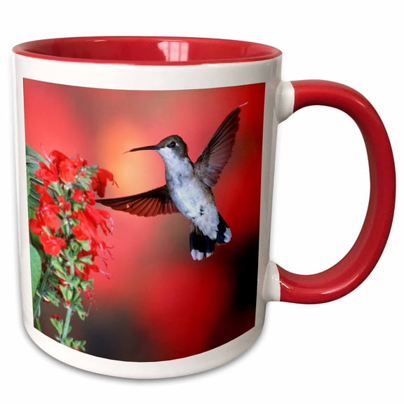 3drose, Ruby-throated Hummingbird Female on Scarlet Sage, Marion Co., Illinois, 11oz Two-tone Red Mug