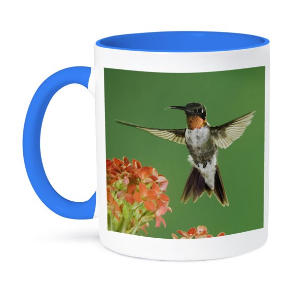 Ruby-Throated Hummingbird, Kalanchoe Flower Texas - Na02 Rnu0765 - Rolf Nussbaumer, 11oz Two-Tone Blue Mug