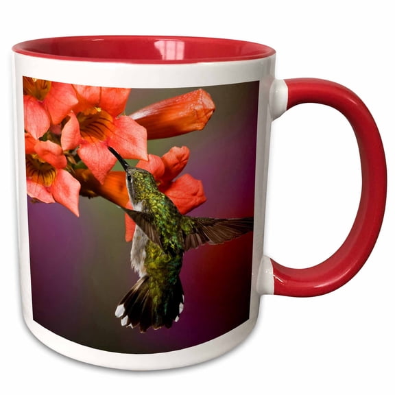 3drose, Ruby Throated Hummingbird, Kentucky - Na02 Aje0274 - Adam Jones, 11oz Two-tone Red Mug